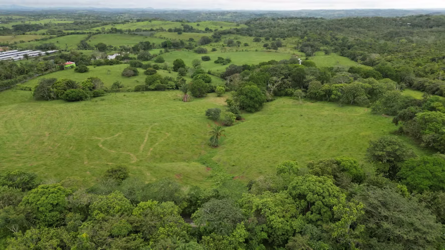 51 HECTÁREAS DE TERRENO! $3,571,715 - Imagen 4