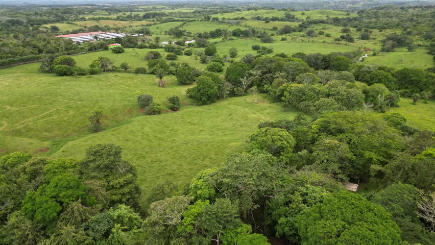 51 HECTÁREAS DE TERRENO! $3,571,715 - Imagen 2