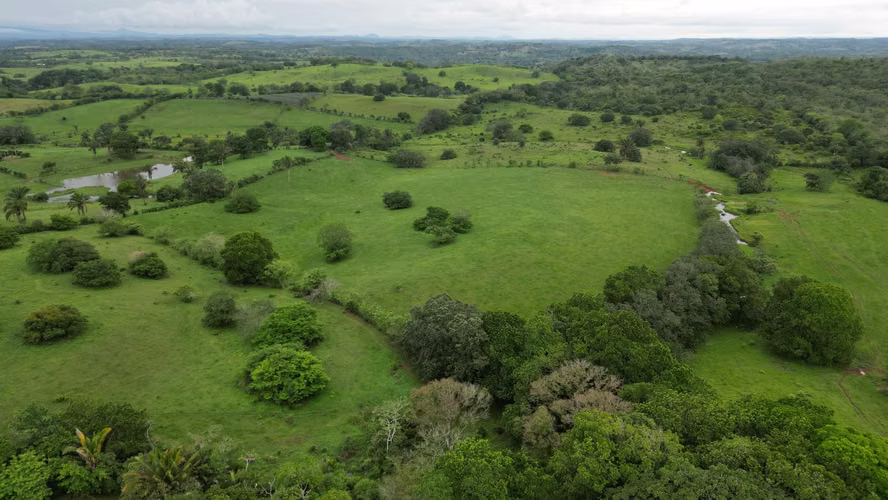51 HECTÁREAS DE TERRENO! $3,571,715 - Imagen 5