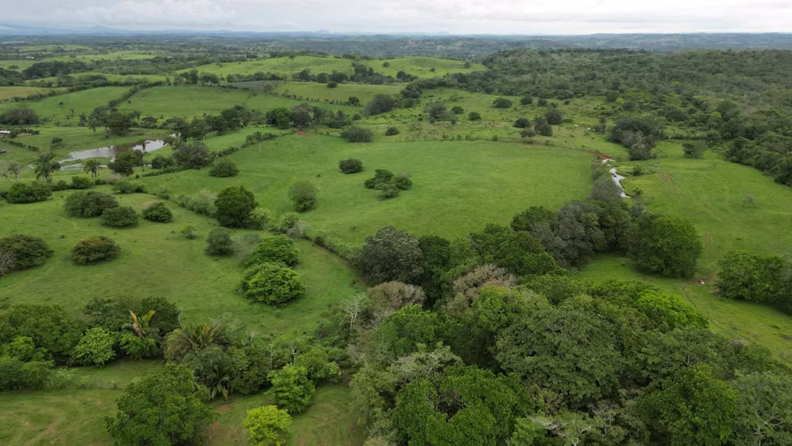 51 HECTÁREAS DE TERRENO! $3,571,715 - Imagen 19