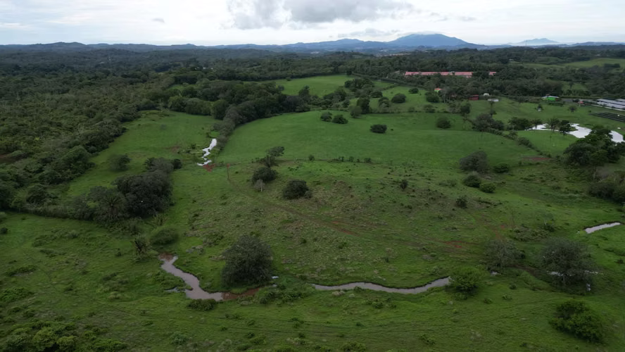 51 HECTÁREAS DE TERRENO! $3,571,715 - Imagen 8