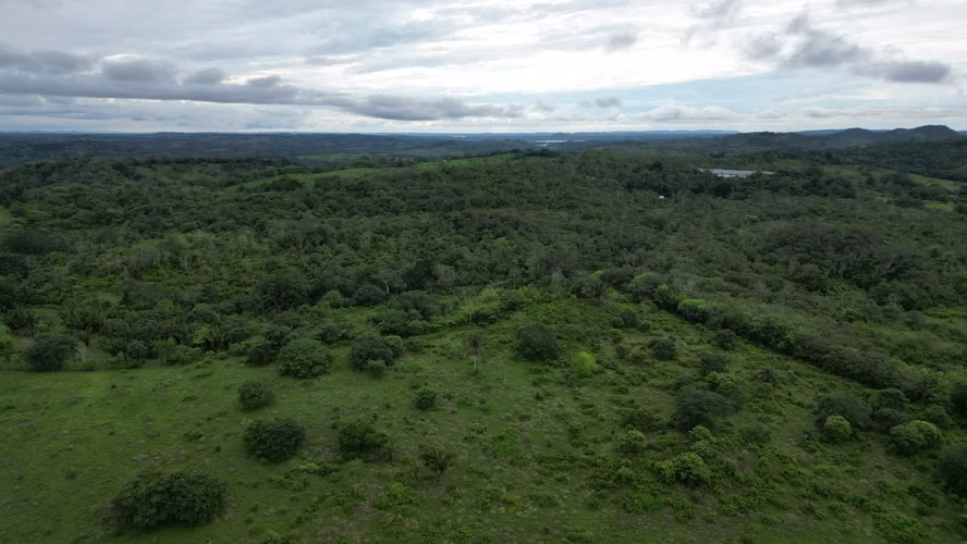 51 HECTÁREAS DE TERRENO! $3,571,715 - Imagen 7