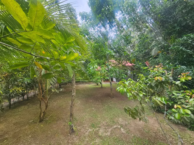 TERRENO EN VENTA EN ÁREAS REVERTIDAS DEL CANAL DE PANAMÁ | 1,221.81 m² | $496,232 - Imagen 16