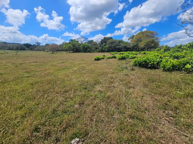 Terreno de 5,000 m² en Capira – Ideal para inversión o vivienda - Imagen 6