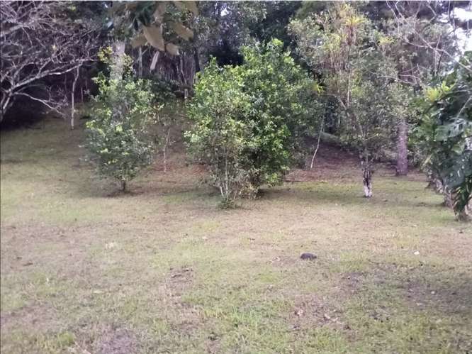SE VENDE TERRENO 1.7 HECTAREAS EN CAPIRA EL CACAO VIA ASFALTADA