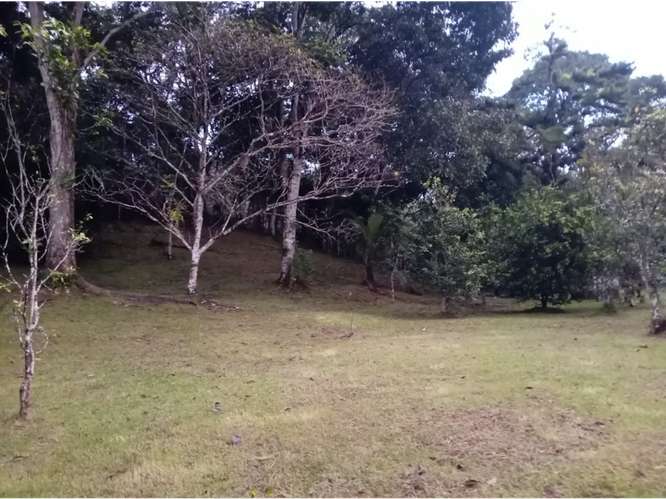 SE VENDE TERRENO 1.7 HECTAREAS EN CAPIRA EL CACAO VIA ASFALTADA