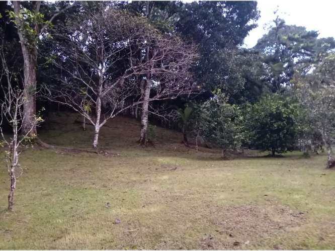 SE VENDE TERRENO 1.7 HECTAREAS EN CAPIRA EL CACAO VIA ASFALTADA