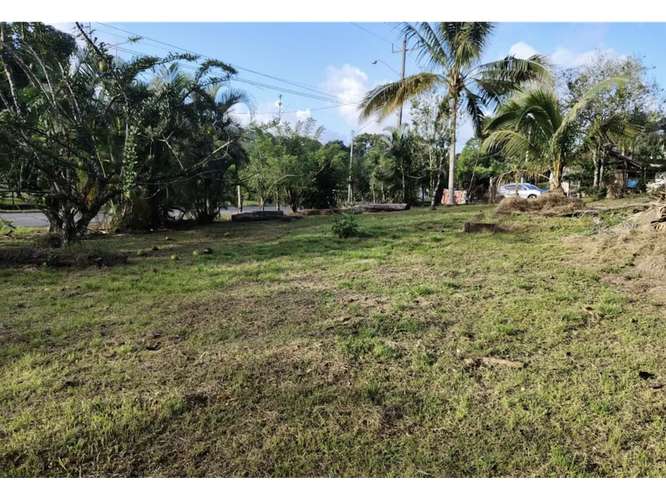 SE VENDE TERRENO 1.7 HECTAREAS EN CAPIRA EL CACAO VIA ASFALTADA