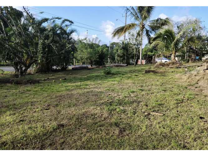 SE VENDE TERRENO 1.7 HECTAREAS EN CAPIRA EL CACAO VIA ASFALTADA
