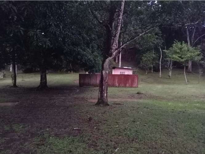 SE VENDE TERRENO 1.7 HECTAREAS EN CAPIRA EL CACAO VIA ASFALTADA
