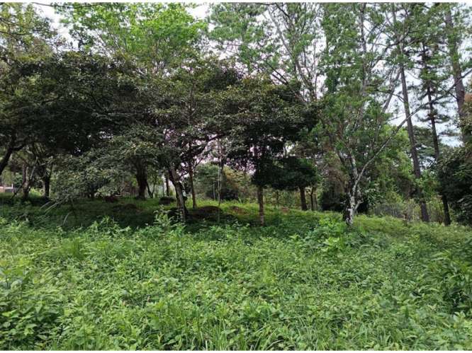 SE VENDE TERRENO 1595M SEMI-PLANO EN CHAME SORA FACIL ACCESO - Imagen 17