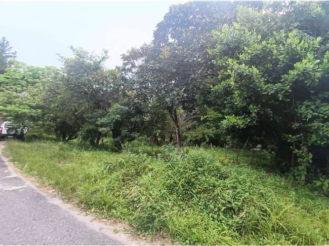 SE VENDE TERRENO 1595M SEMI-PLANO EN CHAME SORA FACIL ACCESO - Imagen 13