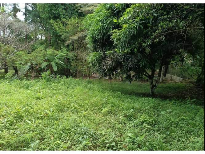 CHAME / SORA / 1595M / TERRENO SEMI-PLANO / SOBRE VIA ASFALTADA - Imagen 15