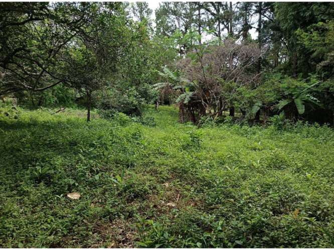 CHAME / SORA / 1595M / TERRENO SEMI-PLANO / SOBRE VIA ASFALTADA - Imagen 3