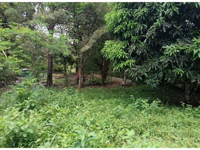 CHAME / SORA / 1595M / TERRENO SEMI-PLANO / SOBRE VIA ASFALTADA - Imagen 10