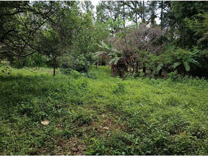 CHAME / SORA / 1595M / TERRENO SEMI-PLANO / SOBRE VIA ASFALTADA - Imagen 20