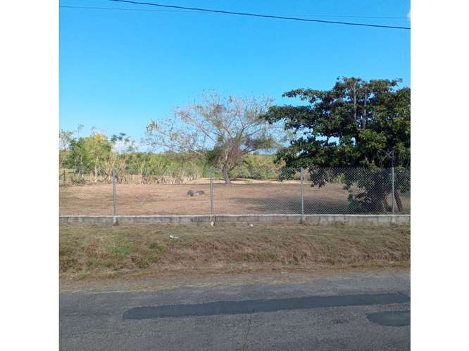 SE VENDE TERRENO PLANO 6833M EN SAN CARLOS EL HIGO CON ZONAS VERDES - Imagen 15