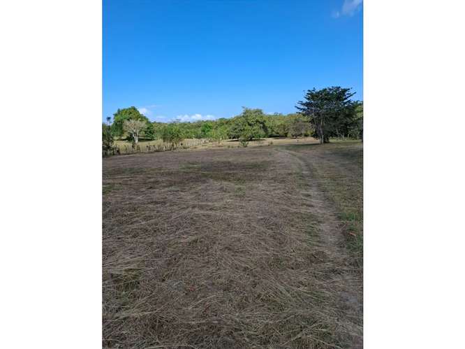 SE VENDE TERRENO PLANO 6833M EN SAN CARLOS EL HIGO CON ZONAS VERDES - Imagen 9