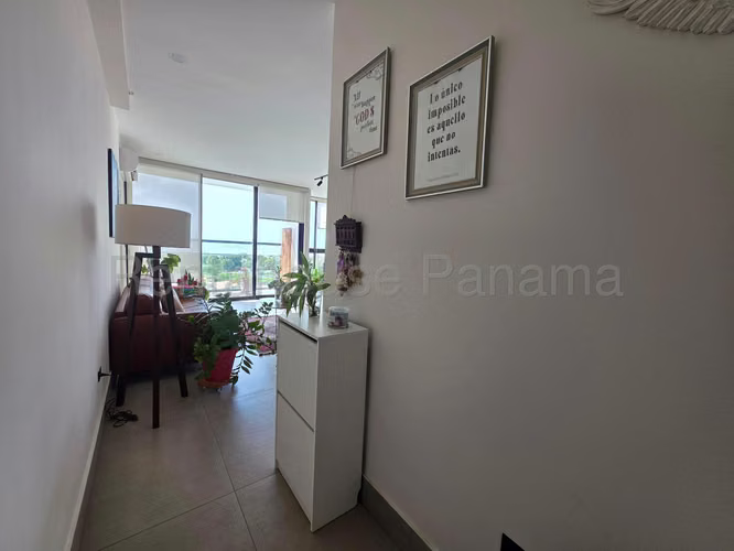 Se Alquila Apartamento en Coco del Mar VLU27-2685