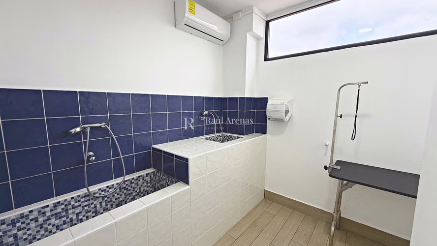 Apartamento 2 Recámaras en Alquiler en San Francisco, Edificio Nuevo - Imagen 17