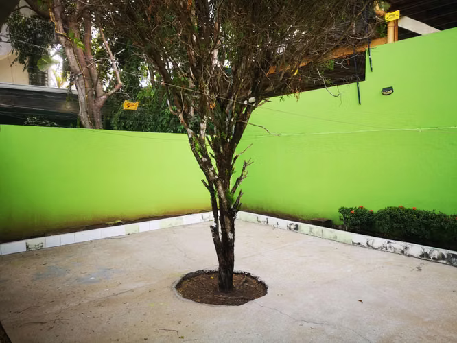 SE VENDE CASA  OFERTA DEBAJO VENTA RAPIDA 3 RECAMARAS TERRAZA CERRADA - Imagen 10