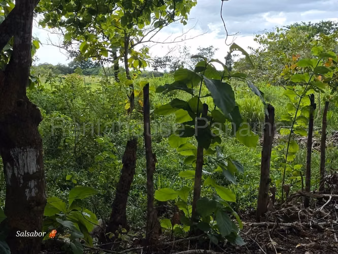 Se Vende Terreno en Santiago MDV26-1724