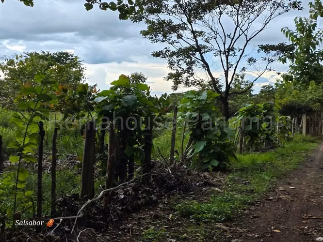 Se Vende Terreno en Santiago MDV26-1724
