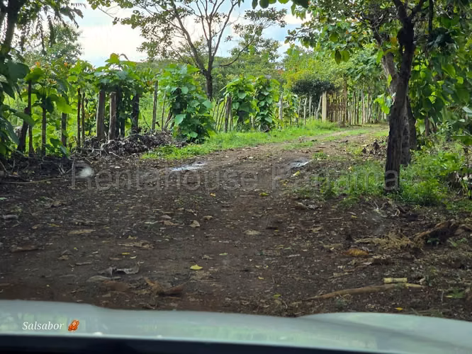 Se Vende Terreno en Santiago MDV26-1724