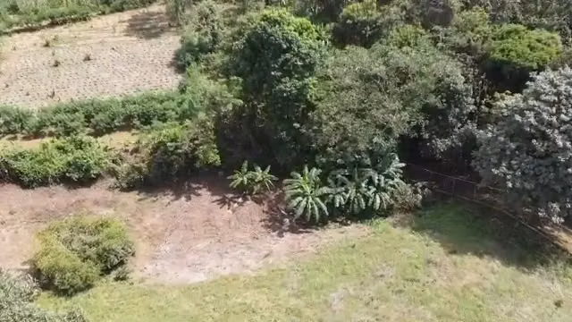 Finca Santa Rita en venta en Los Lotes de Pacora – 28,902.78 m² - Imagen 10
