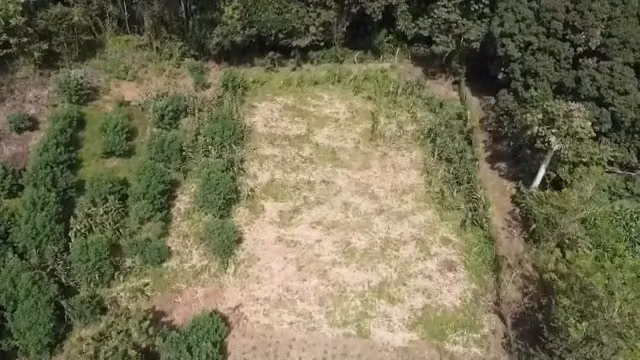 Finca Santa Rita en venta en Los Lotes de Pacora – 28,902.78 m² - Imagen 11