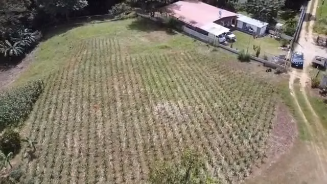 Finca Santa Rita en venta en Los Lotes de Pacora – 28,902.78 m² - Imagen 6