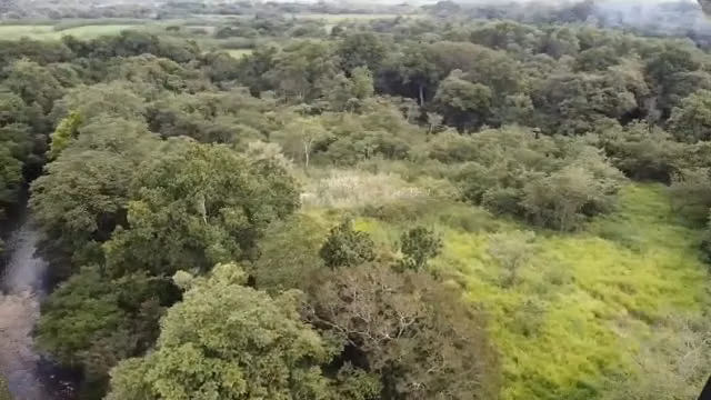 Finca Santa Rita en venta en Los Lotes de Pacora – 28,902.78 m² - Imagen 3