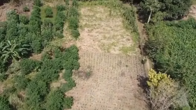 Finca Santa Rita en venta en Los Lotes de Pacora – 28,902.78 m² - Imagen 2