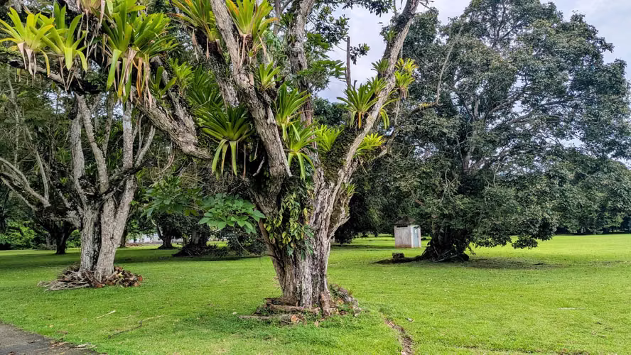 En Gamboa - Casa de 3 recámaras