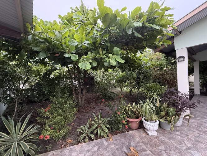 Casa amplia con gran terreno en La Pita, Alanje – 2 recámaras, 2 baños, garaje y patio cercado