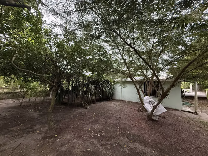 Casa amplia con gran terreno en La Pita, Alanje – 2 recámaras, 2 baños, garaje y patio cercado