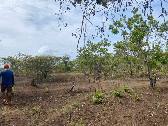 TERRENO EN VENTA EN NATÁ.  - Imagen 2