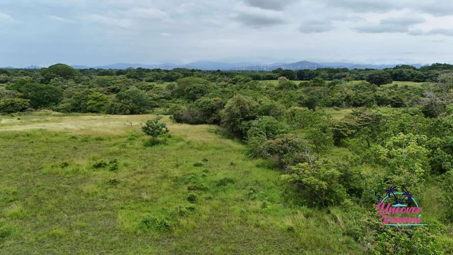 Amplio terreno de más de 47,272.81 metros cuadrados en Juan Díaz, Antón, Coclé