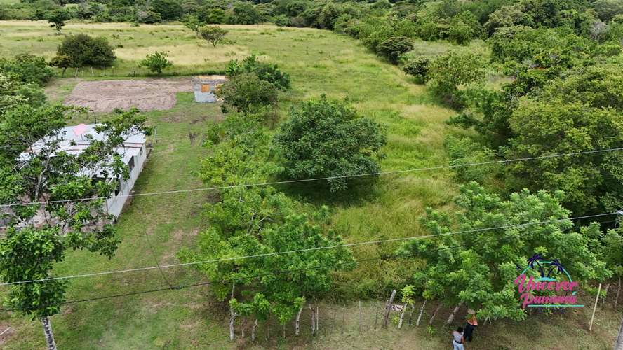 Amplio terreno de más de 47,272.81 metros cuadrados en Juan Díaz, Antón, Coclé