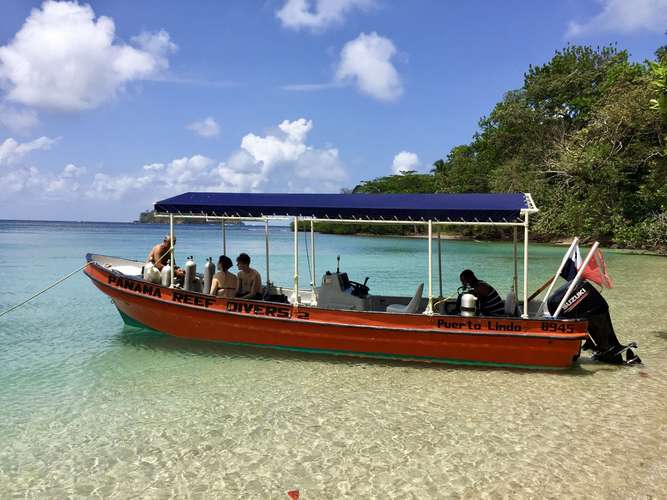 Diving Business/Property-Water Front-Caribbean Side For Sale - Imagen 18