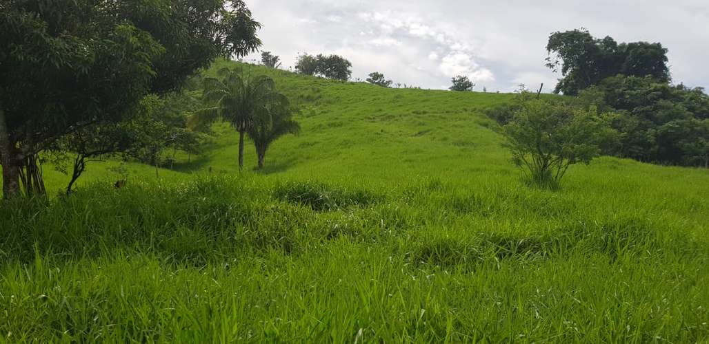 Finca, Centro comercial, barriada y deportiva 