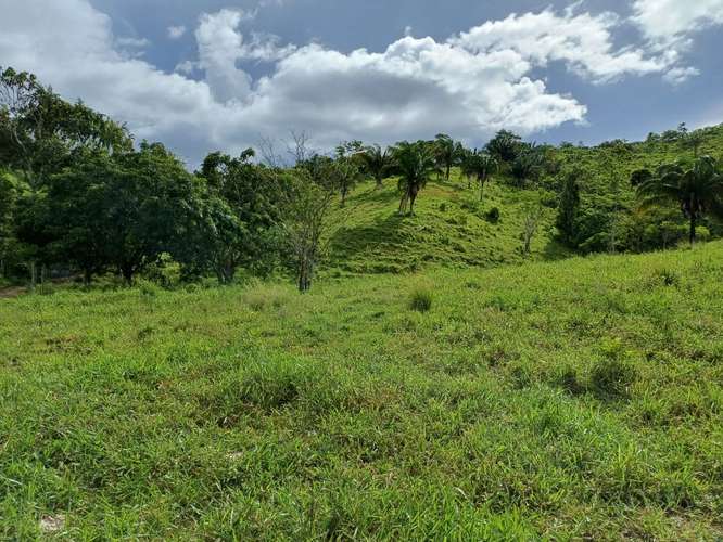 Finca, Centro comercial, barriada y deportiva 