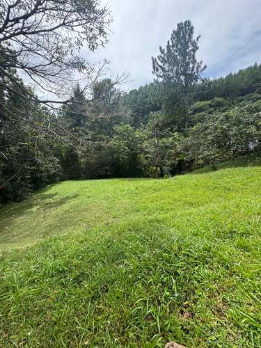 VENTA DE TERRENO EN ALTOS DEL MARIA, CHAME  - Imagen 9
