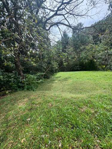 VENTA DE TERRENO EN ALTOS DEL MARIA, CHAME  - Imagen 7