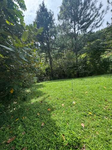 VENTA DE TERRENO EN ALTOS DEL MARIA, CHAME  - Imagen 16