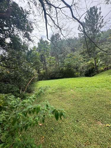 VENTA DE TERRENO EN ALTOS DEL MARIA, CHAME  - Imagen 10