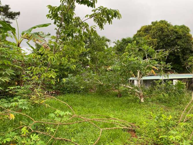 La Chorrera | El Coco | Terreno | subiendo por el Jardín - Imagen 2