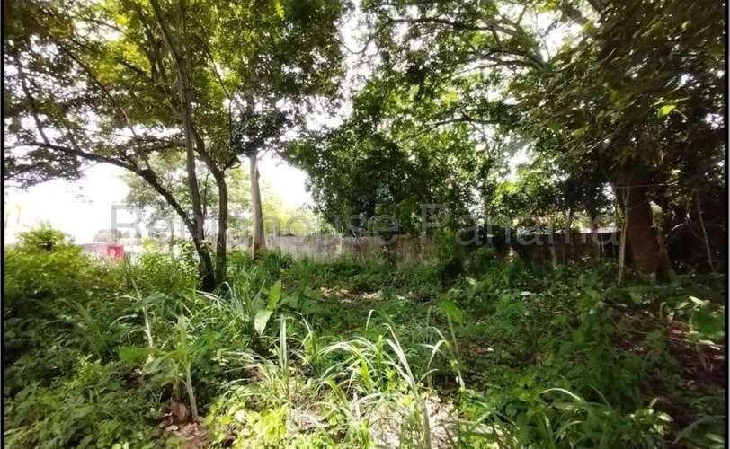 VENTA DE TERRENO EN CHAME CABECERA MCD27-2277 - Imagen 5