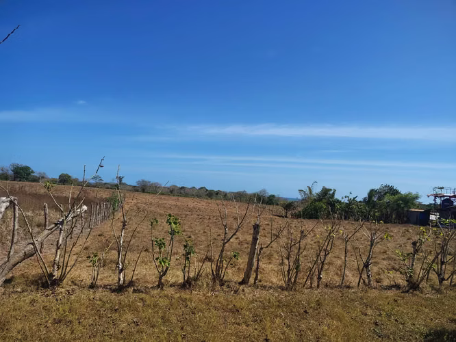  SE VENDE ¡A SOLO 700 METROS DEL MAR! LOTE DE 1,449 m² CON LUZ Y AGUA EN POCRÍ - Imagen 6