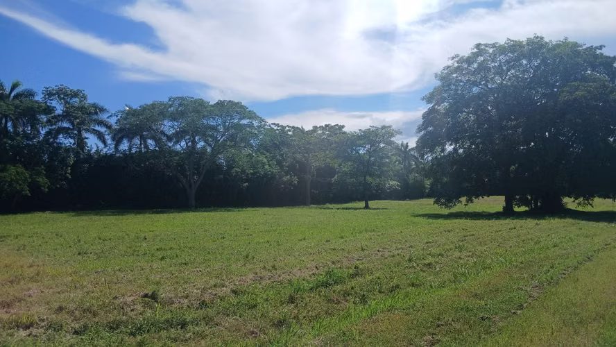  ¡ÚLTIMOS LOTES EN PEDASÍ! VENTA DIRECTA CON LOS PROPIETARIOS | 1,419 m² CON LUZ Y AGUA - Imagen 6